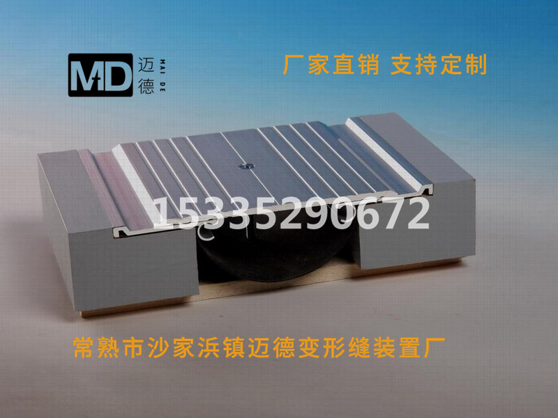 楼地面变形缝（沉重型）FDM